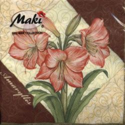 Amaryllis terzett bordeaux